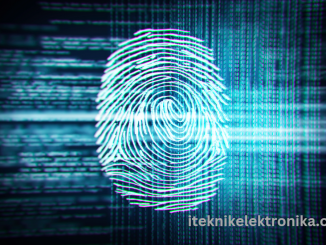pengertian sensor fingerprint (sidik jari)