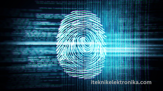 pengertian sensor fingerprint (sidik jari)